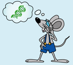 Мышь с ДНК
